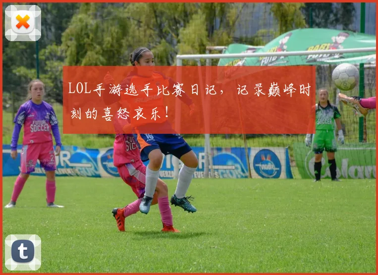 LOL手游选手比赛日记，记录巅峰时刻的喜怒哀乐！