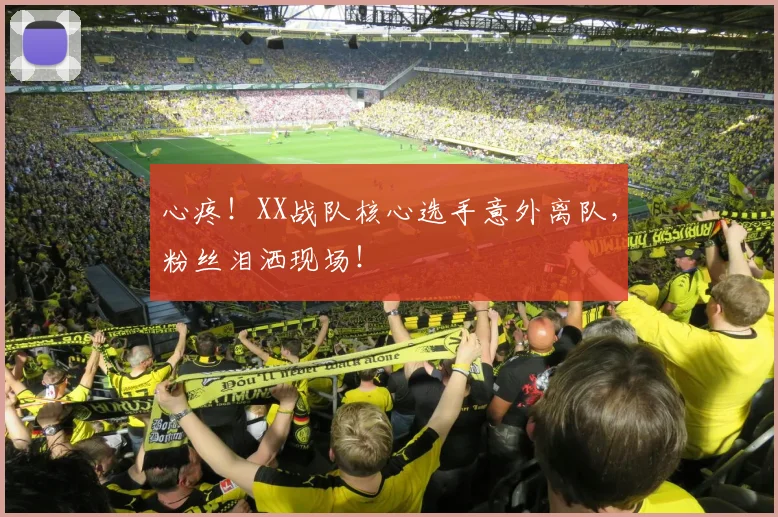 心疼！XX战队核心选手意外离队，粉丝泪洒现场！