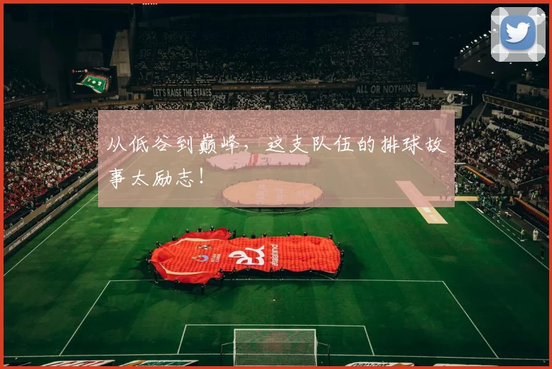 从低谷到巅峰，这支队伍的排球故事太励志！