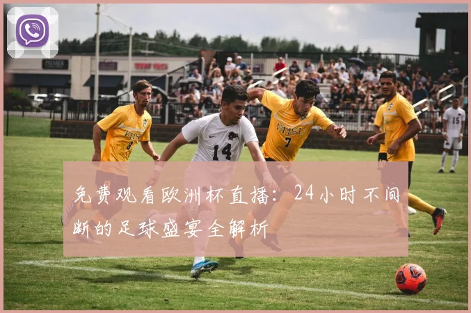 免费观看欧洲杯直播：24小时不间断的足球盛宴全解析