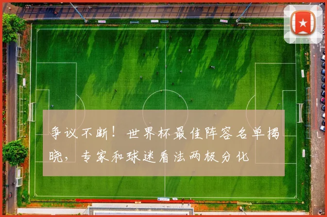 争议不断！世界杯最佳阵容名单揭晓，专家和球迷看法两极分化